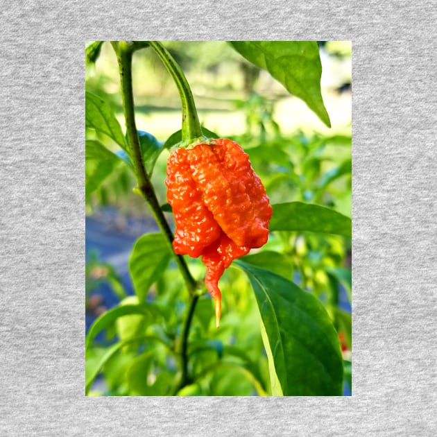 Carolina Reaper by Spring River Apparel 